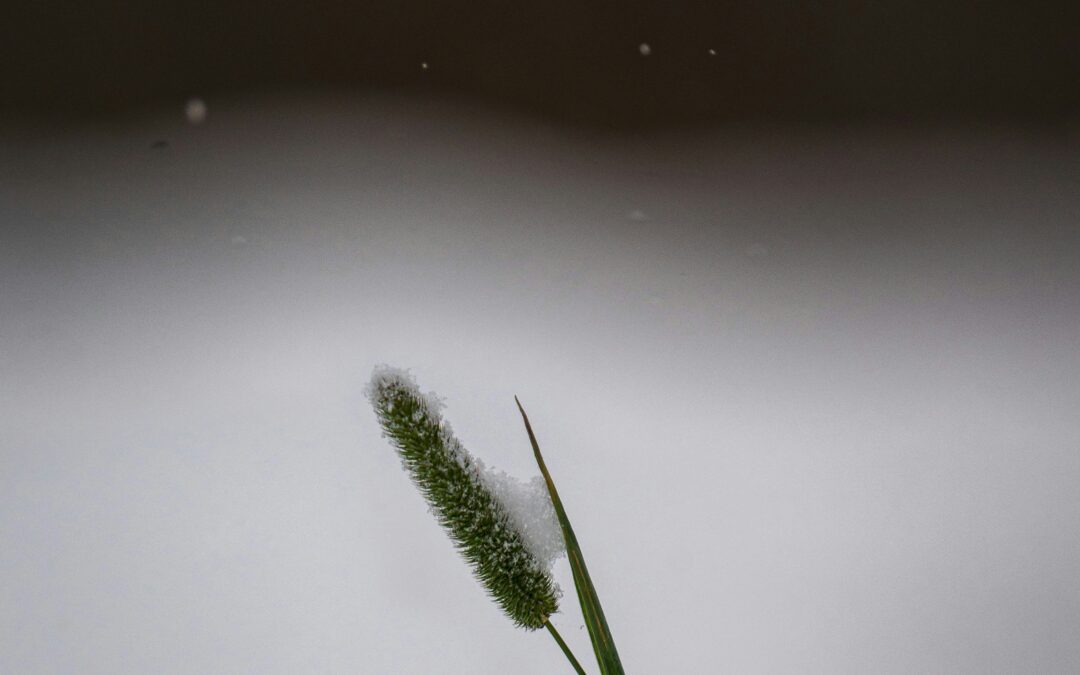 When Power Slips Away